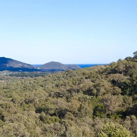 Superbe Bergerie En Pierre Vue Mer Et Montagne Sur Les Hauteurs De St Lucie De Porto-vecchio Διαμέρισμα